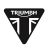 RELÉ TRIUMPH