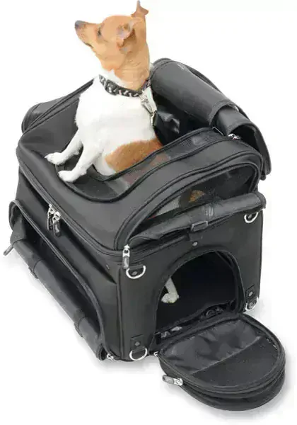 a Textilní brašna na motocykl pro zvířata SADDLEMEN PET VOYAGER PC3200C barva černá, pro domácí mazlíčky do 9 kg