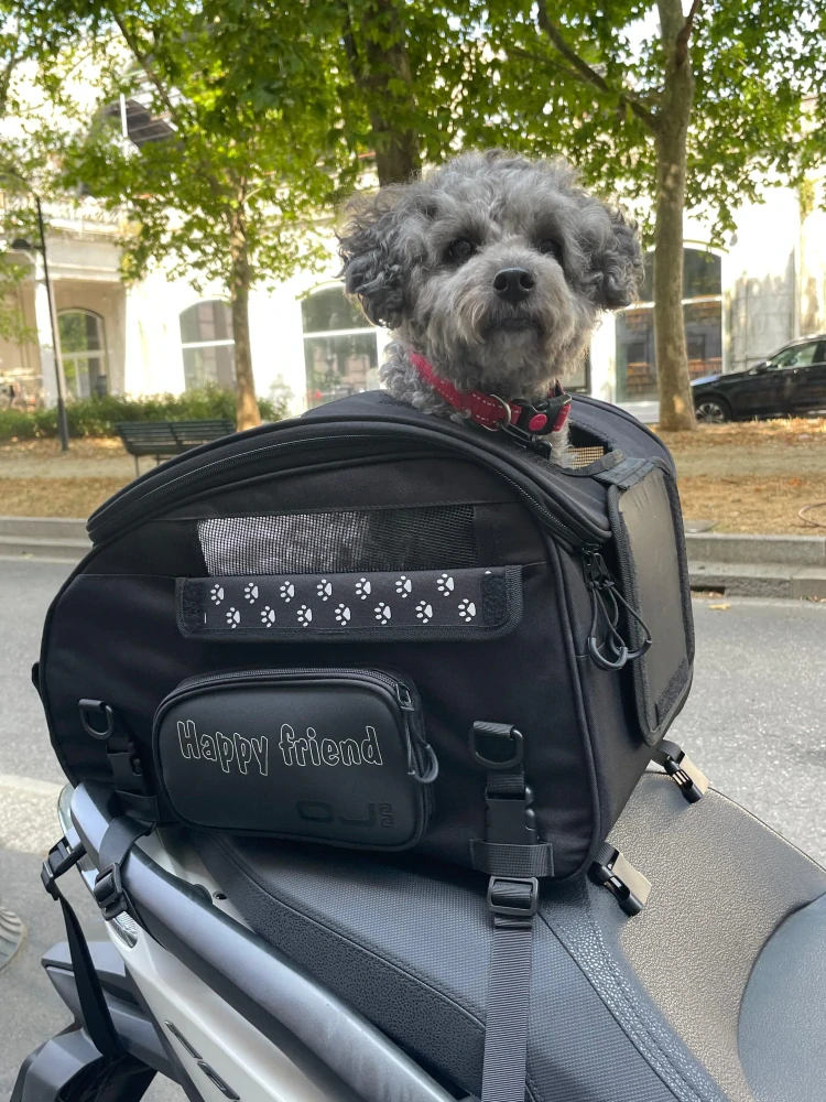 Textilní taška / motocyklová brašna pro zvířata OJ ATMOSFERE METROPOLITANE s.r SEAT PET BAG M290 barva černá, objem 30 litrů, pro domácí mazlíčky do 8 kg
